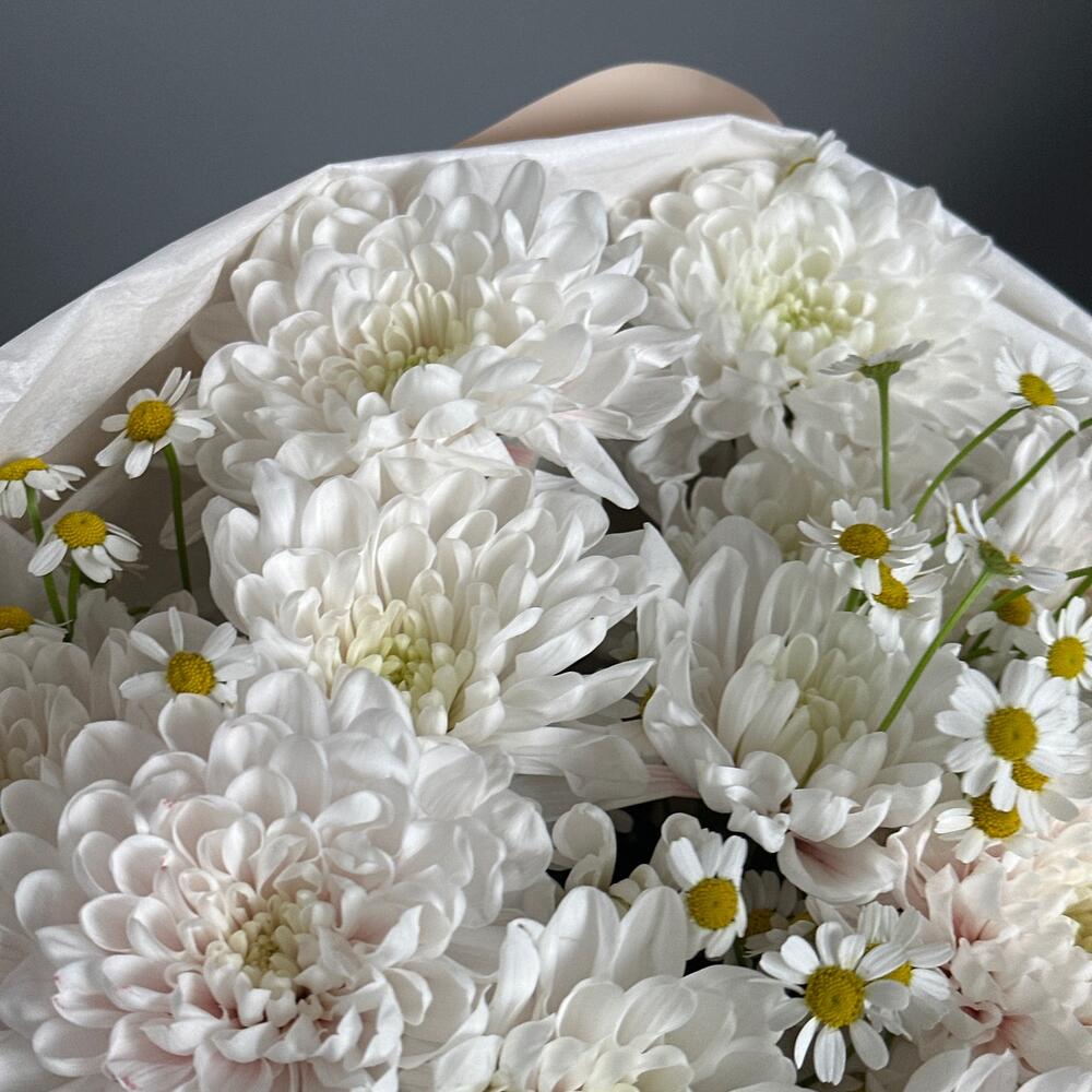 https://content2.flowwow-images.com/data/flowers/1000x1000/06/1741357254_81646306.jpg